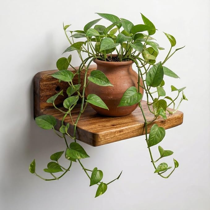 Premium Wooden Floating Wall Shelf (Single Piece) – Natural Solid Wood Display Rack | 18x15x7 cm – Wall Mounted Shelf for Home & Office Décor | Small Plant & Showpiece Stand