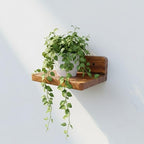 Premium Wooden Floating Wall Shelf (Single Piece) – Natural Solid Wood Display Rack | 18x15x7 cm – Wall Mounted Shelf for Home & Office Décor | Small Plant & Showpiece Stand