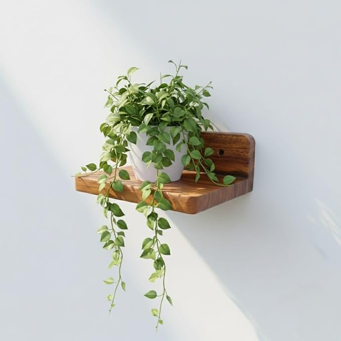 Premium Wooden Floating Wall Shelf (Single Piece) – Natural Solid Wood Display Rack | 18x15x7 cm – Wall Mounted Shelf for Home & Office Décor | Small Plant & Showpiece Stand